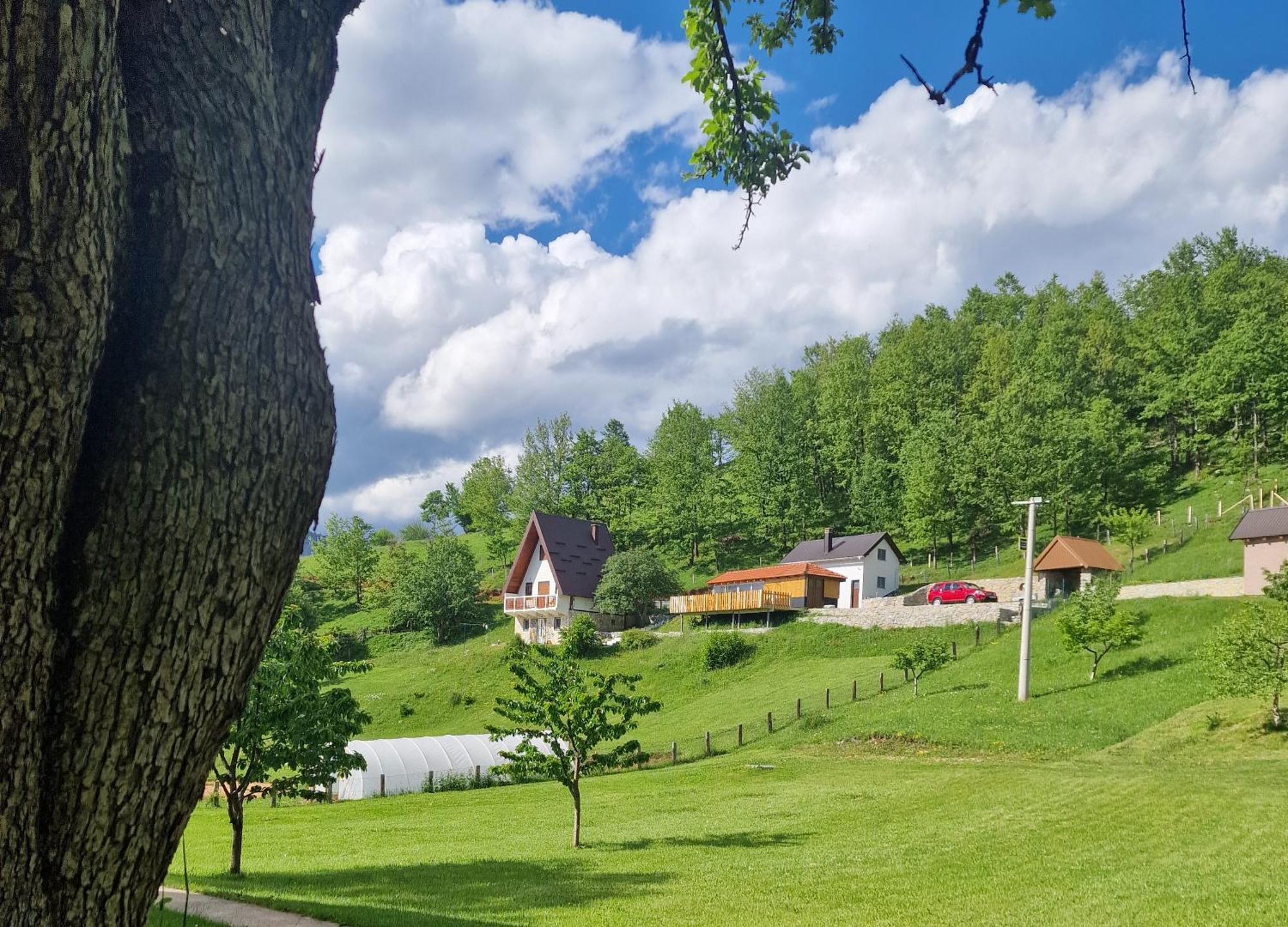 Apartmani Vukomanovo Mojkovac Exterior foto